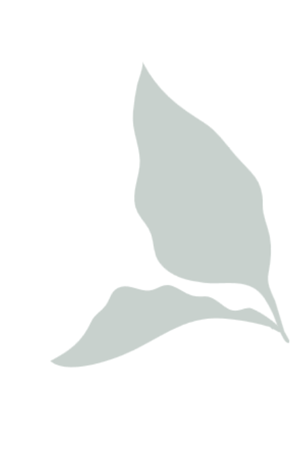 Dentist Oakville - Burloak Centre Dentistry - Leaves